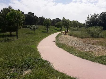 Foto caminet rosa - enllumenat Foto caminet rosa - enllumenat