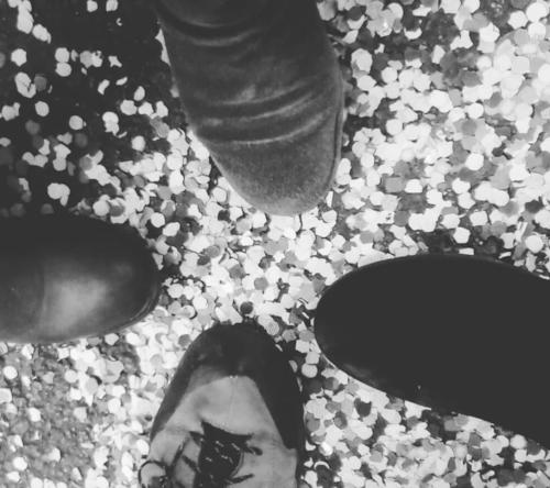 3guanyadora 3guanyadora