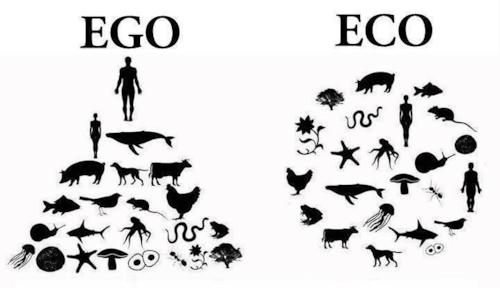 imatge_eco imatge_eco