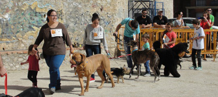 Festa del Gos Festa del Gos