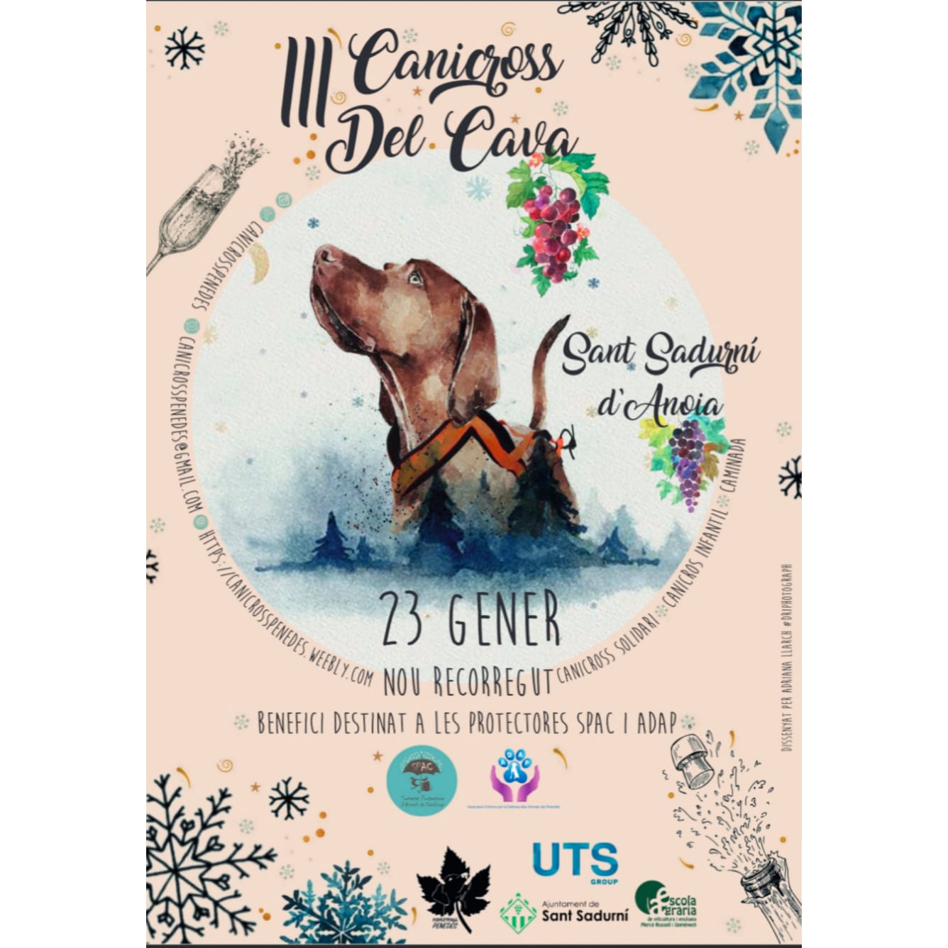Cartell canicross 22 Cartell canicross 22