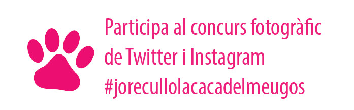 Instagram FG Instagram FG