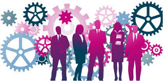 organitzacio organitzacio