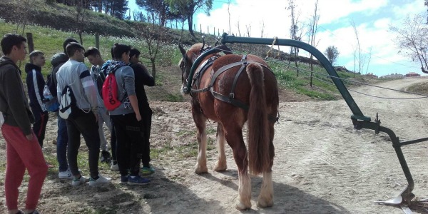 Gimanca Raventós Blanc Gimanca Raventós Blanc