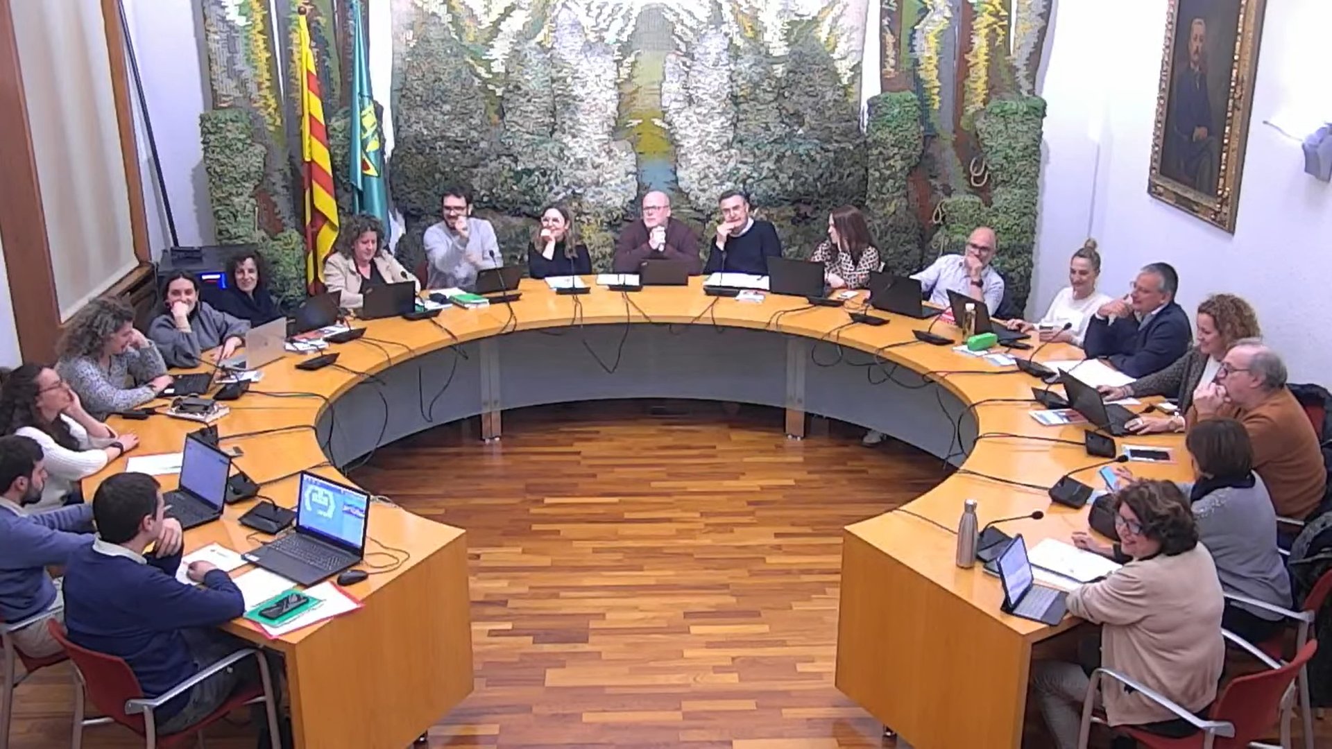 ple març 2025 ple març 2025