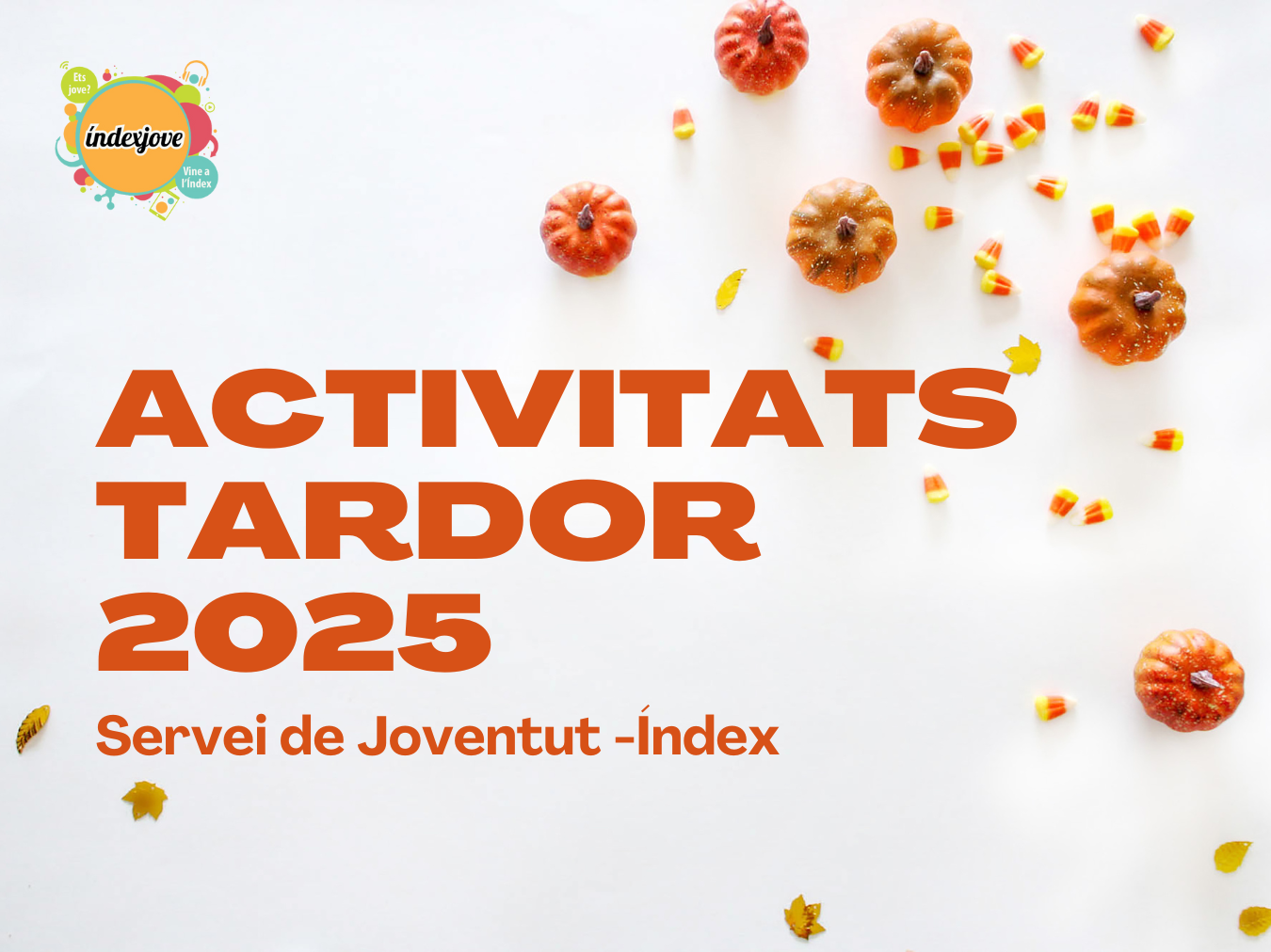 activitats de tardor activitats de tardor