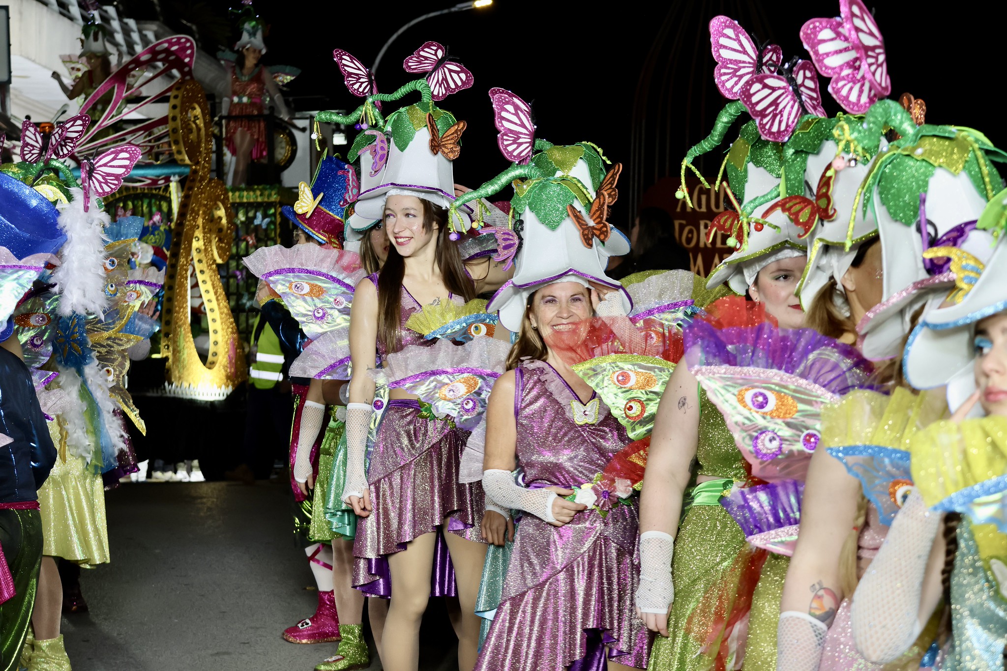 papallones carnaval papallones carnaval