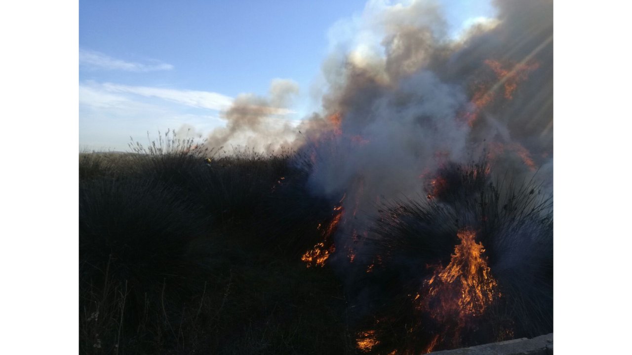 permís crema imatge permís crema imatge