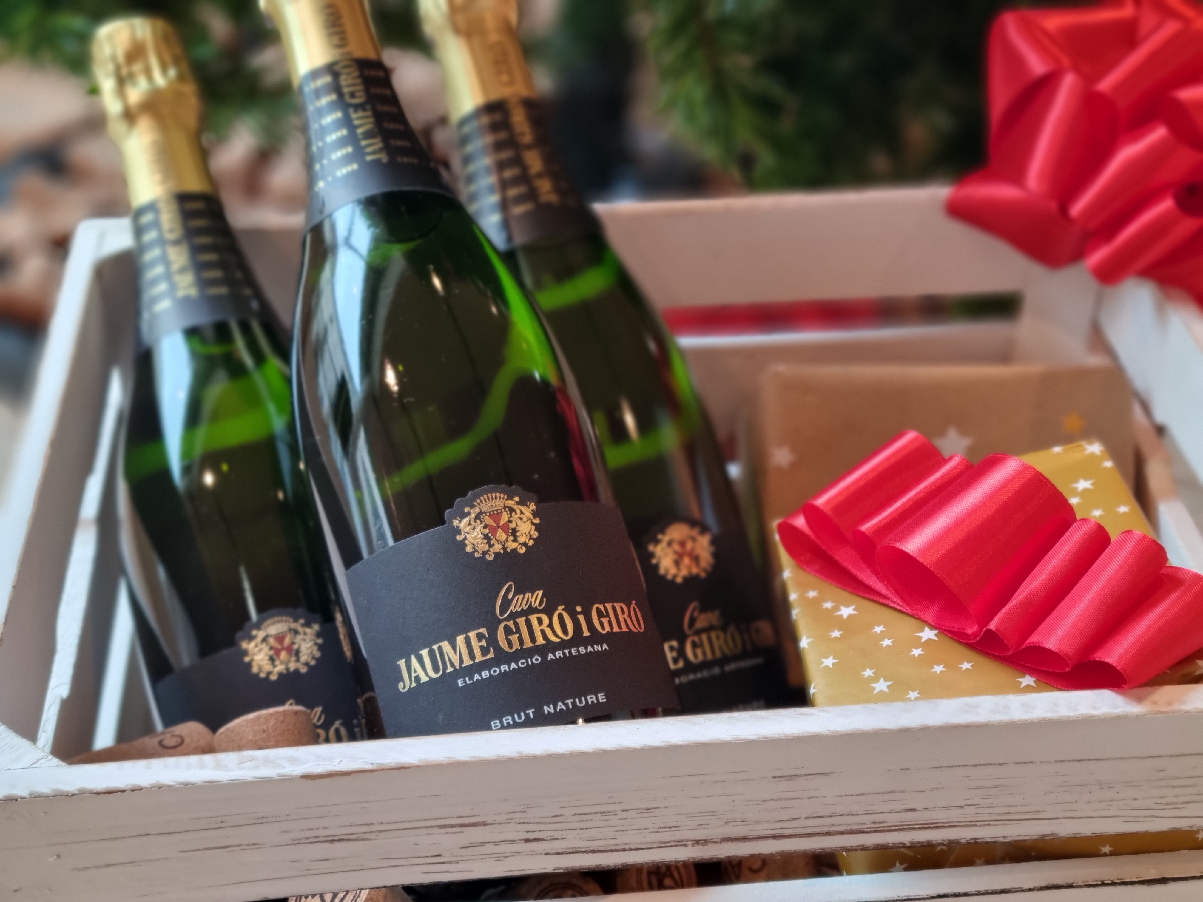 Cava del mes Jaume Giró i Giró Cava del mes Jaume Giró i Giró